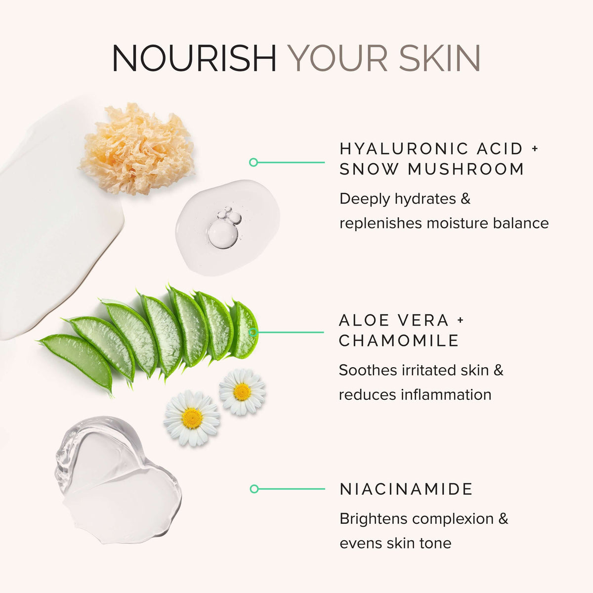 Daily perfecting moisturizer ingredients: Hyaluronic acid, snow mushroom, aloe vera, chamomile, and niacinamide for hydration and skin renewal.
